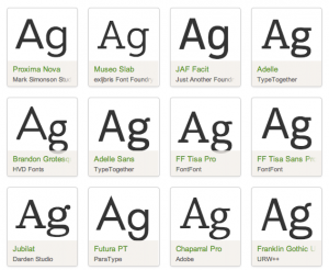 A view of different webfonts a designer might see when considering what typeface to use on a website